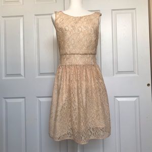 Cream blush silver shimmer Loft dress lace tea